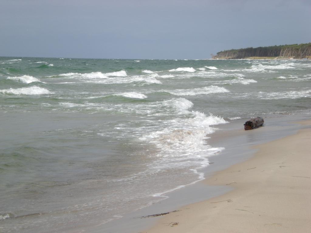 Morgensuenn Am Strand Ostseebad Kühlungsborn Exteriör bild